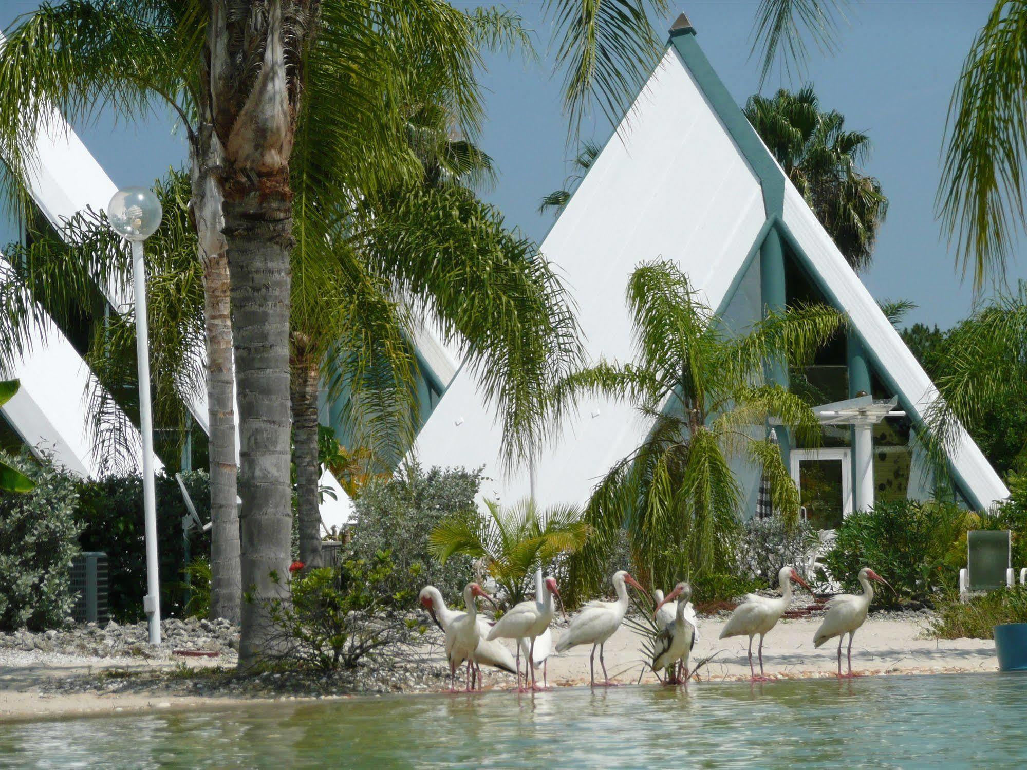 Pyramids In Florida Hotel Estero Bagian luar foto
